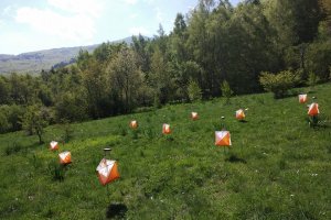 Световен ден на ориентирането 2019 - Витоша, Игликина поляна