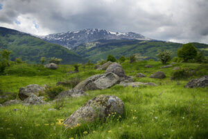 Панорамна гледка към Витоша