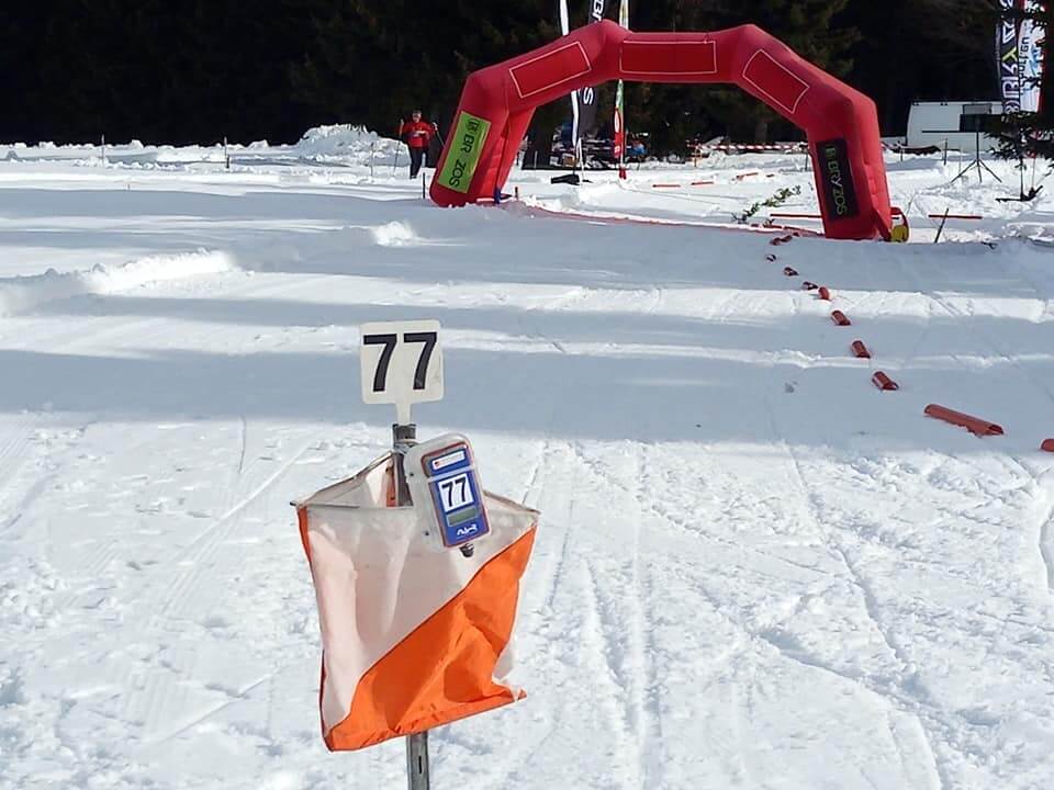 ски ориентиране